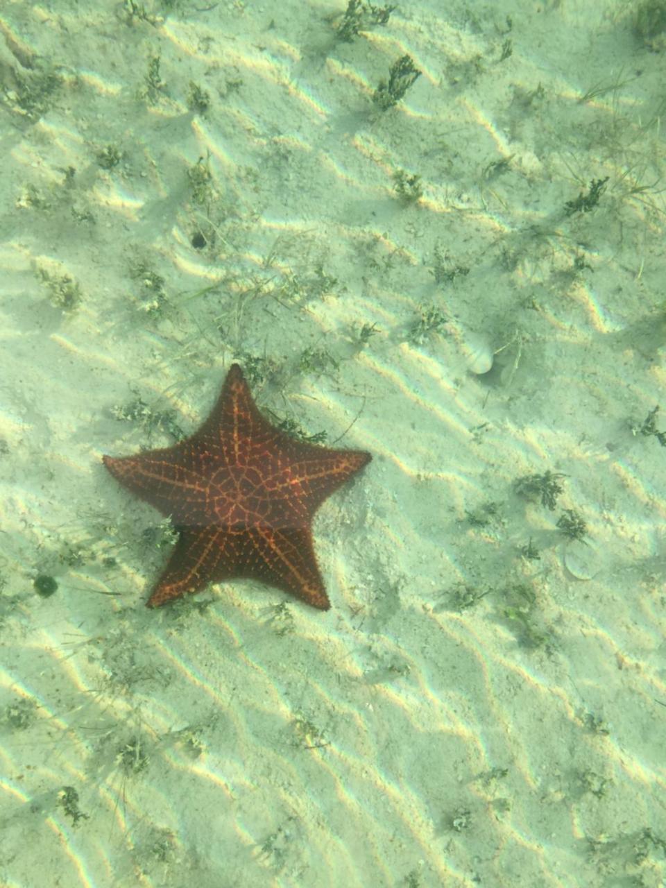 Ocean Tally Upper Bogue Esterno foto